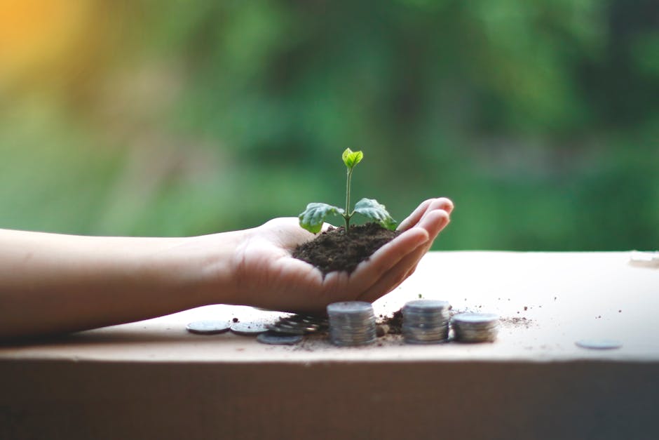 주식 투자의 기본 원리를 학습하는 금융 지식